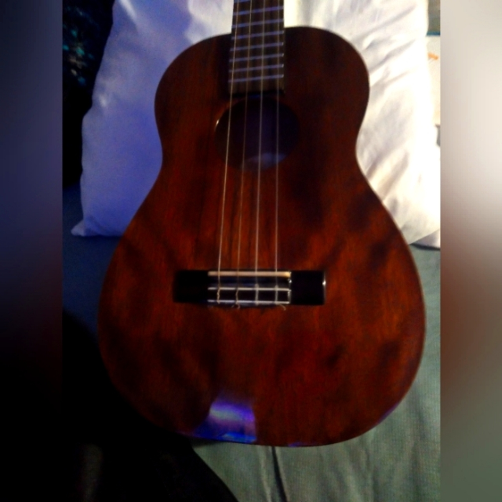 Ukulele guitar